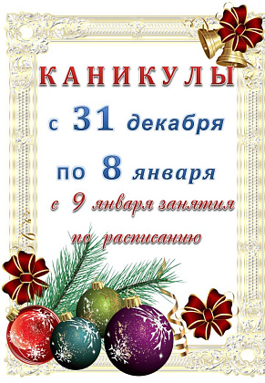 Новогодние каникулы